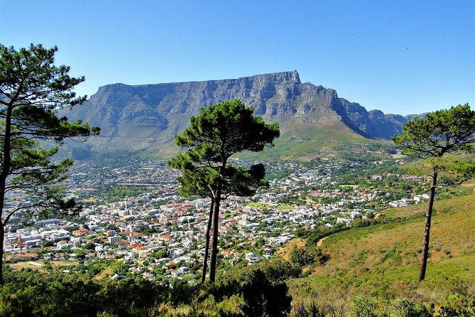Historical City & Table Mountain - Diverse Cultural Experiences