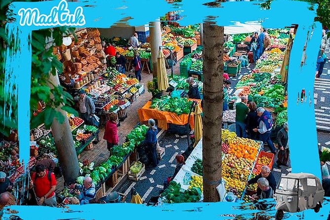 Historical Funchal Tuk-Tuk City Tour - Cancellation Policy