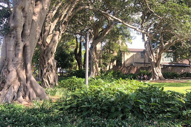 Historical Guided Walking Tour of Glebe - Meeting and End Points