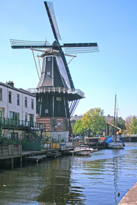Historical Haarlem: Private Tour With Local Guide - Accessibility