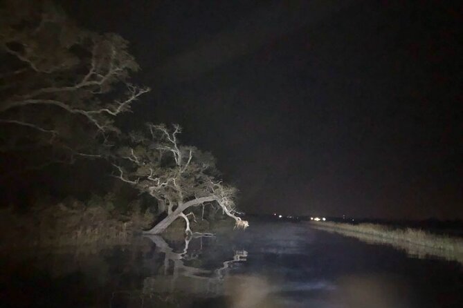 Historical Haunted Bayou Cruise - Campsite Treats and Ambiance
