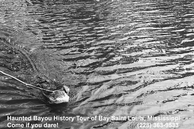 Historical Haunted Bayou Cruise - Attention From the Guide