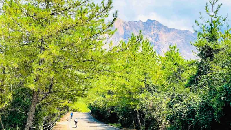 Historical Hill Climb E-bike Tour to Sakurajimas Peak - Inclusions
