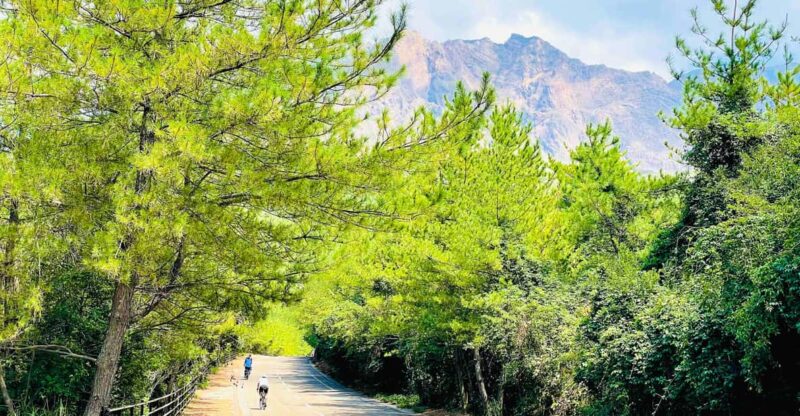 Historical Hill Climb E-bike Tour to Sakurajimas Peak - Preparation and Restrictions
