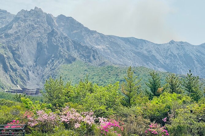 Historical Hill Climb E-bike Tour to Sakurajimas Peak - Inclusions