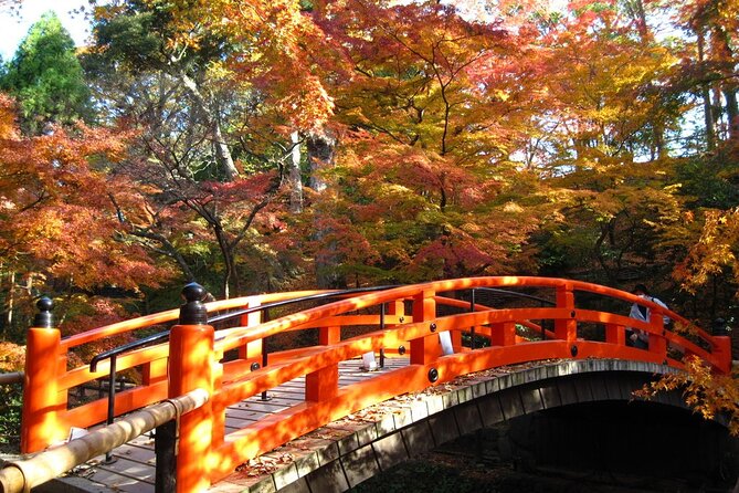 Historical Kyoto Bike Tour (E-Bike or Sport Bike) - Tour Inclusions and Exclusions