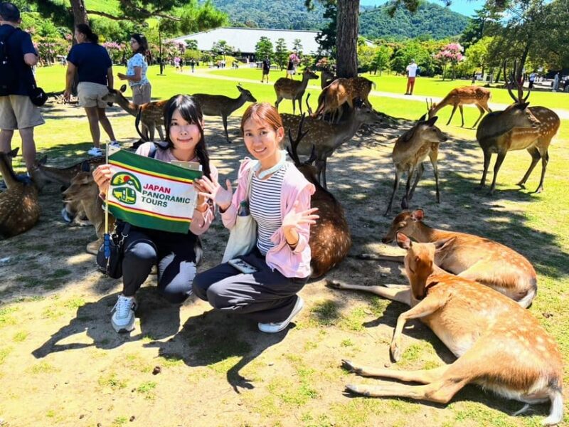 Historical Nara & Kyoto Bus Tour - Itinerary