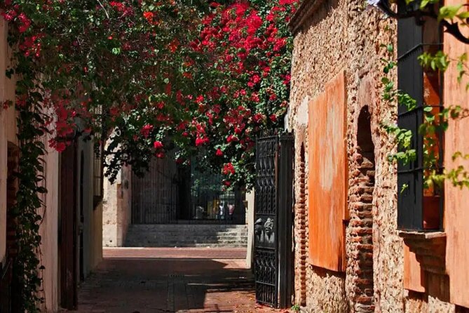 Historical Santo Domingo Day Trip From Punta Cana - Transportation and Logistics