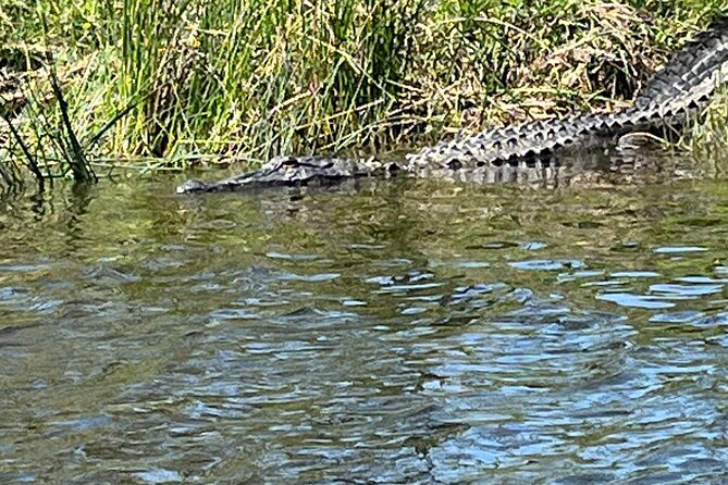 Historical Scenic Water Trail Kayak Tour of St. Tammany Parish - Key Points