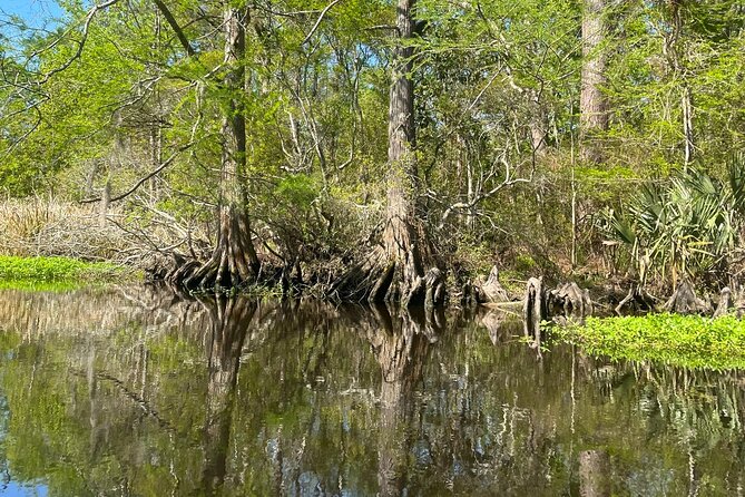 Historical Scenic Water Trail Kayak Tour of St. Tammany Parish - Included Equipment and Provisions
