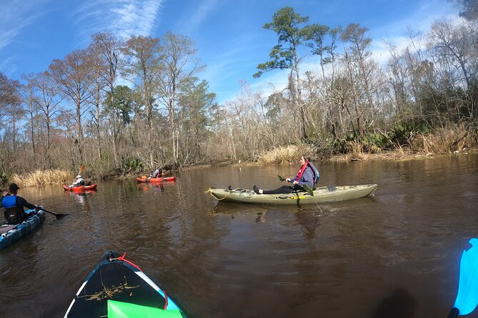 Historical Scenic Water Trail Kayak Tour of St. Tammany Parish - Exploring the Scenic Water Trail