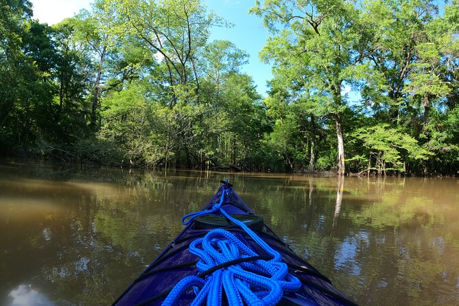Historical Scenic Water Trail Kayak Tour of St. Tammany Parish - Frequently Asked Questions