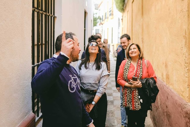Historical Sights and Tasty Tapas in Seville's Jewish Quarter - Highlights of the Walking Tour