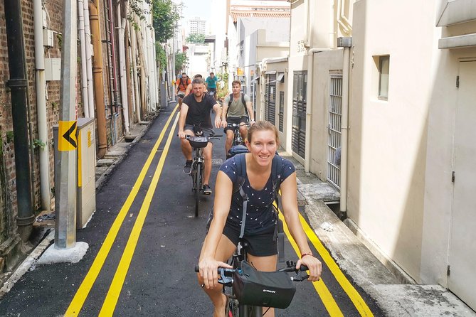 Historical Singapore Bike Tour on Full-Sized Bicycles - Highlights Along the Route
