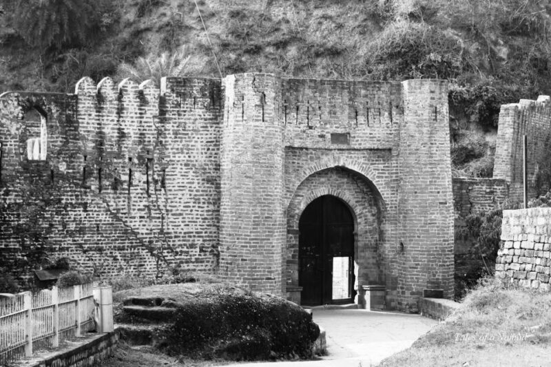 Historical Tour, Kangra Fort &Rock Cut Temple From Dharmasla - Customer Experience and Reviews