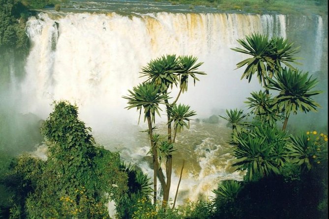 Historical-tour Lalibela Gonder & Bahir Dar - Exclusions