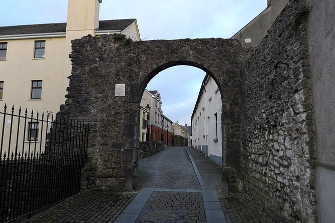 Historical Tour of Kilkenny in French. - Booking and Cancellation