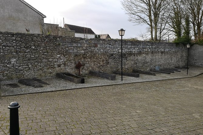 Historical Tour of Kilkenny in French. - Group Size and Accessibility