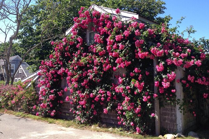 Historical Tour of Nantucket - Guides Knowledge and Engagement