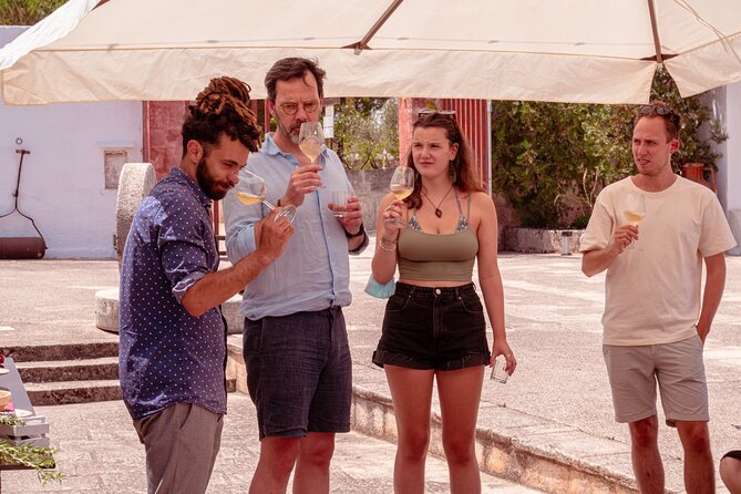 Historical Tour of Rural Park With 3 Apulian Wines Tasting - Inclusions and Meeting Point