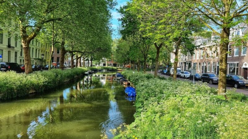 Historical Utrecht: Private Tour With Local Guide - Guided Tour Information