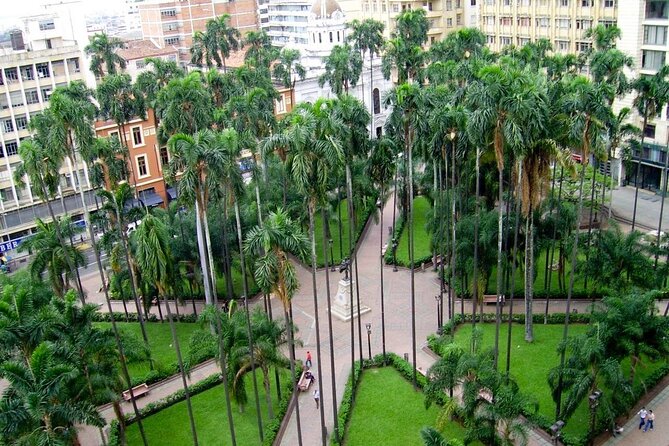 Historical Walking Cali City Tour 3H - Visiting the Ceiba Tree Monument