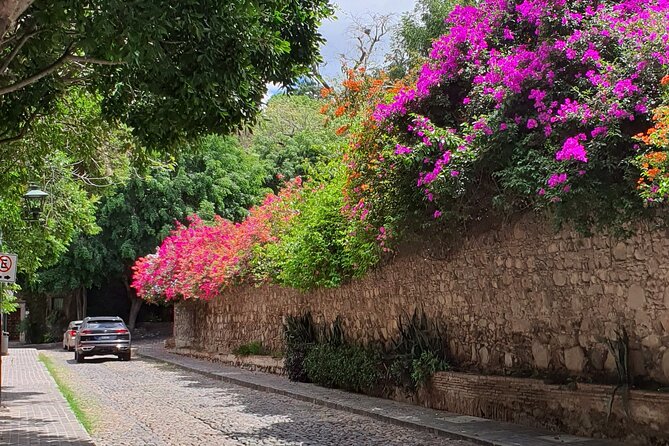 Historical Walking Tour, Discover and Explore San Miguel - Cultural Immersion and Local Insights