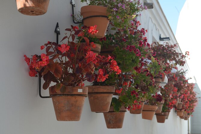 Historical Walking Tour of Estepona - Tour Overview