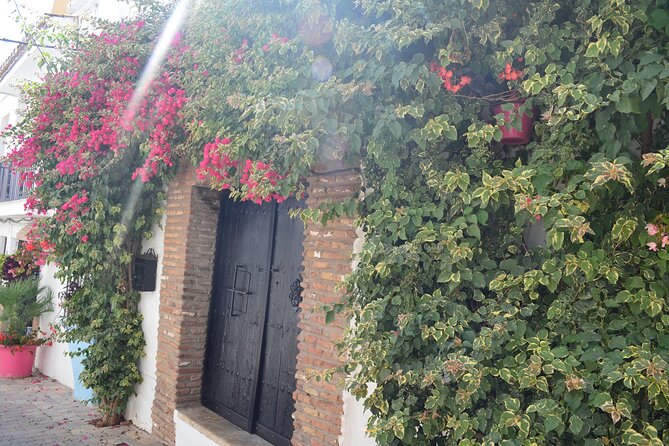 Historical Walking Tour of Estepona - Accessibility