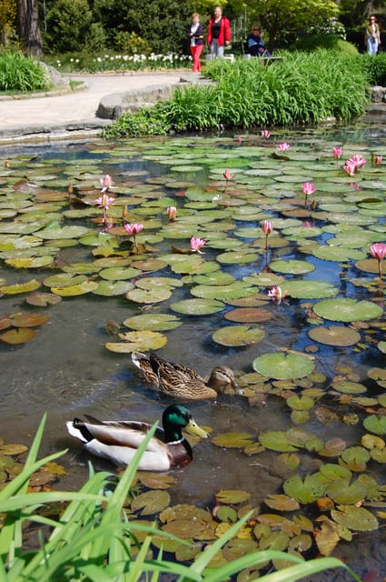 History and Culture Route in Spa Town Piestany - Attractions at the Hotel Thermia Palace