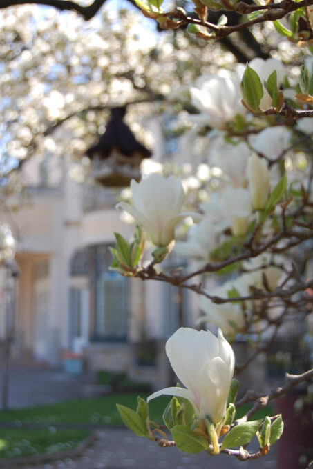 History and Culture Route in Spa Town Piestany - Frequently Asked Questions