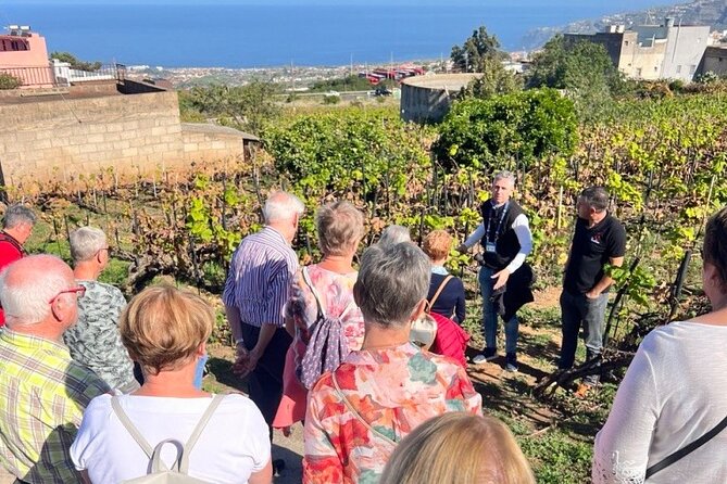 History and Tradition Tour of Local Products of La Orotava - Reviews