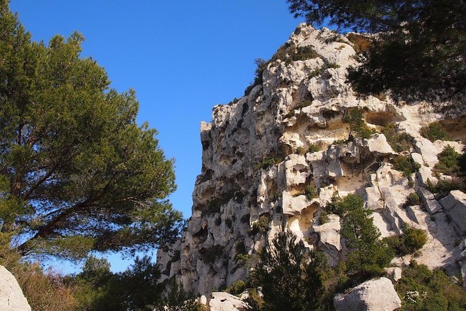 History and Van Gogh in Provence From Aix-En-Provence - Traveler Insights and Recommendations