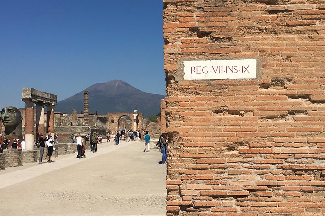 History and Wine - Private Car Service, Guided Tour of Pompeii and Wine Tasting - Exploring Local Cuisine and Wine Tasting