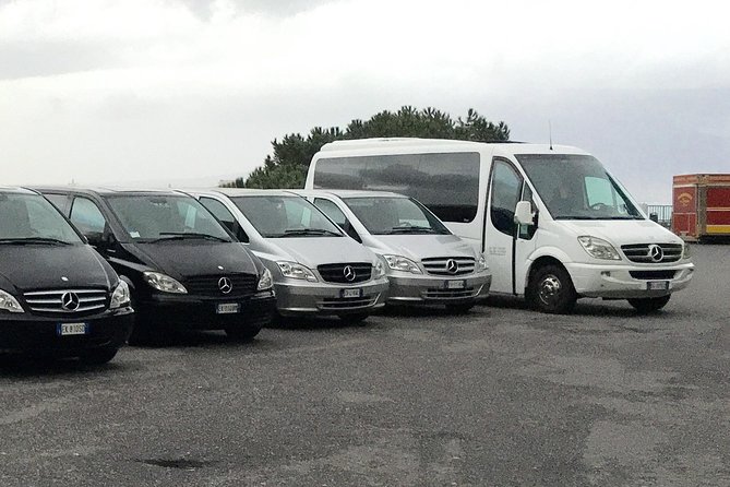 History and Wine - Private Car Service, Guided Tour of Pompeii and Wine Tasting - Assistance and Customer Support