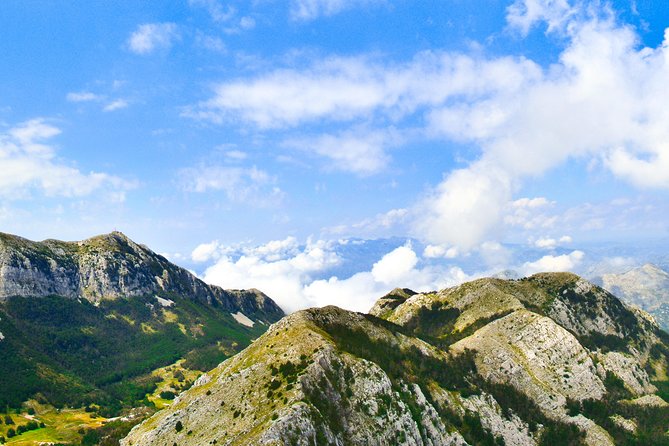 History of Montenegro - Private Cetinje and Lovcen National Park Tour - Flora and Fauna of Lovcen National Park