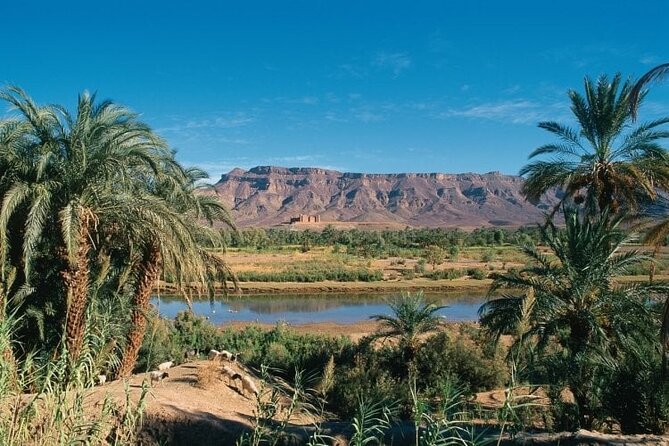 History of Morocco Nature and Adventure Private Tour 12 Days - Accessibility Considerations