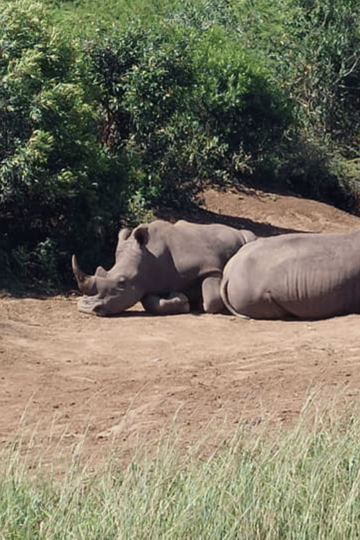Hluhluwe Imfolozi Day Safari Tour - Itinerary