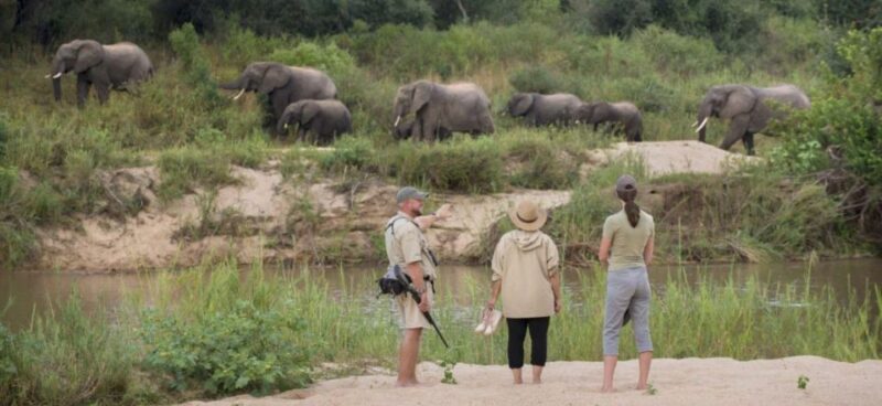 Hluhluwe Imfolozi Day Tour 4x4 Game Drive - From Durban - Tour Activities
