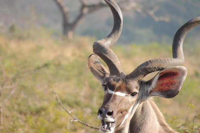 Hluhluwe/iMfolozi Game Reserve Full Day Game Drive - Cancellation and Weather Policy