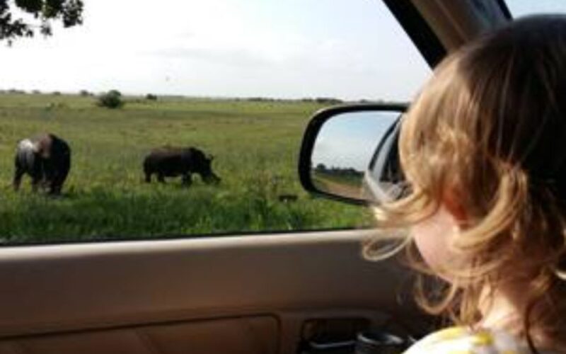 Hluhluwe-iMfolozi Park Big 5 Family Safari Experience - Key Points