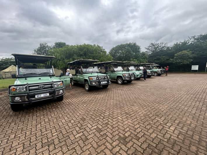 Hluhluwe Imfolozi Safari Including Open Vehicle Game Drive - Wildlife Experience