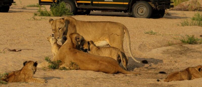 Hluhluwe, Isimangaliso & Drakensberg 5 Day Zululand Tour - Included Activities