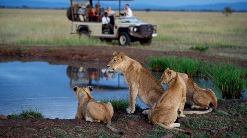 Hluhluwe & Isimangaliso Wetlands Park 3 Day Tour From Durban - Key Points