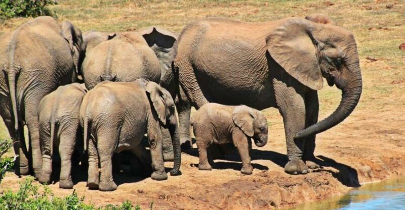 Hluhluwe & Isimangaliso Wetlands Park 3 Day Tour From Durban - Accommodation Details