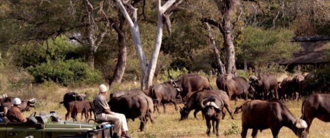 Hluhluwe & Isimangaliso Wetlands Park 3 Day Tour From Durban - Pick-up and Drop-off