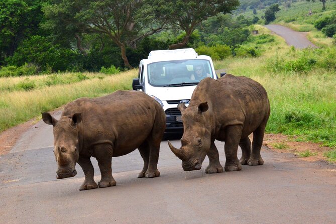 Hluhluwe Safari & Emdoneni Wild Cat Project Day Tour From Durban - Emdoneni Wild Cat Sanctuary