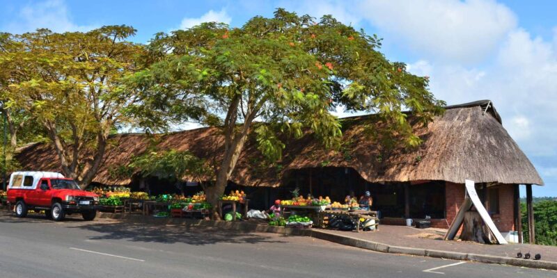 Hluhluwe/St Lucia : Standard or Tailor Made Safari Packages - Overnight Safari Experiences