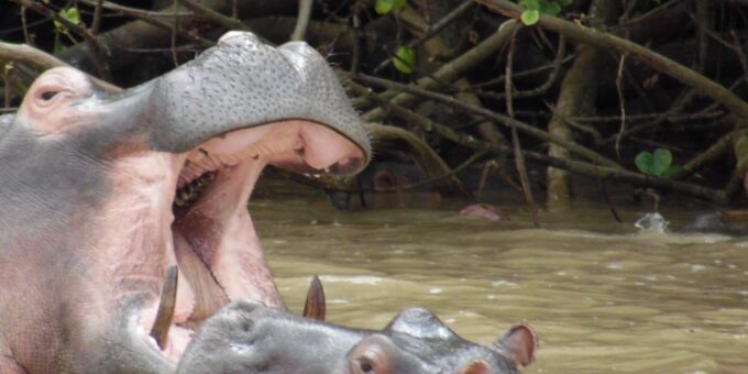 Hluhluwe/St Lucia : Standard or Tailor Made Safari Packages - Recommended Items and Prohibited Items