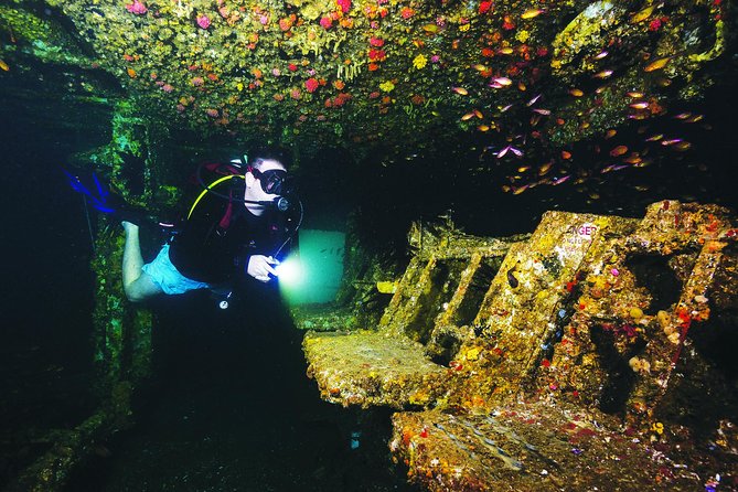 HMAS Brisbane Double Dive - Dive Site Exploration